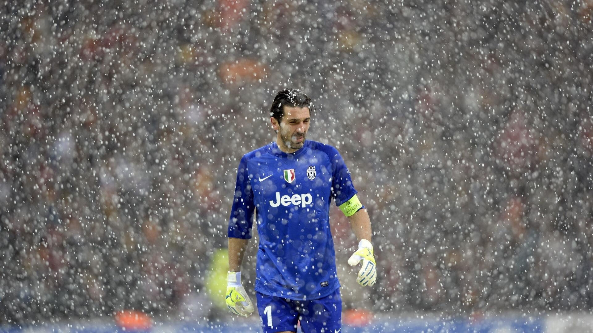 山东鲁能队伍在比赛中表现出近乎完美的配合，山东鲁能队标